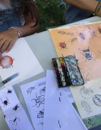 Atelier dessins insectes du jardin par Murielle Joubert